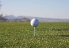 GolfGreedy