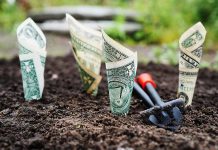 IIM-A's incubation platform to invest in 50 new startups