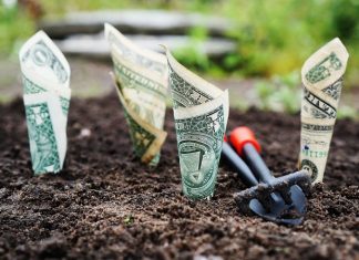 IIM-A's incubation platform to invest in 50 new startups
